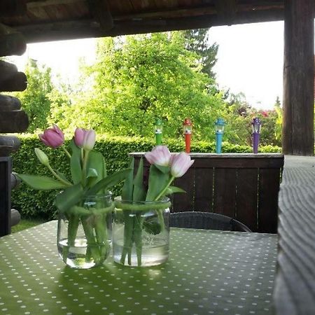 Campinghutte Mit Fkk Moglichkeit Hotel Meckenbeuren Bagian luar foto
